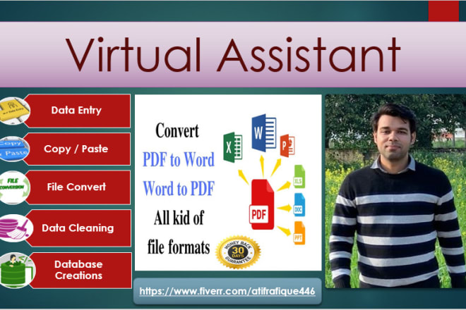 I will be a professional virtual assistant of your data