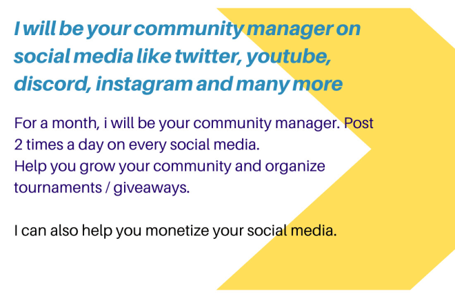 I will be your community manager on social media like twitter instagram for a month