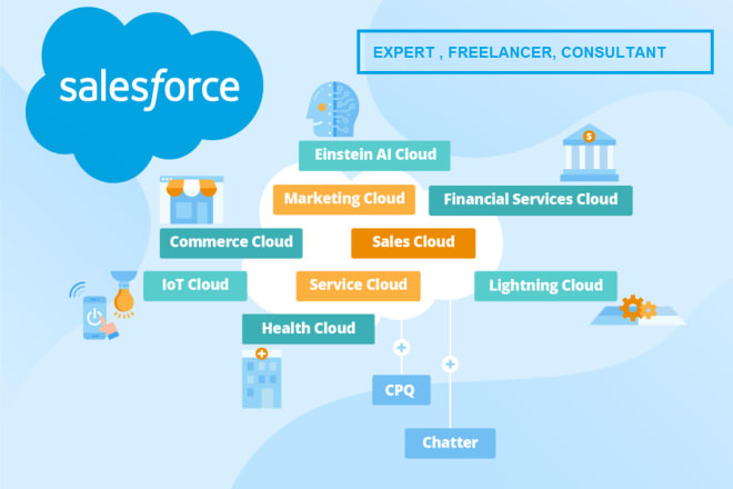 I will be your salesforce expert freelancer consultant