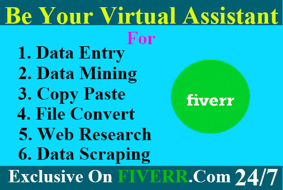 I will be your virtual assistant for data entry, copy paste, file convert, data mining