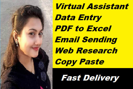 I will best virtual assistant, excel data entry, copy paste data entry