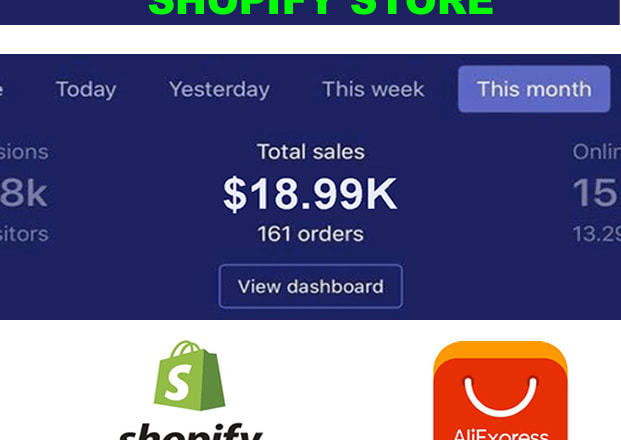 I will build a 30k USD per month shopify store or website