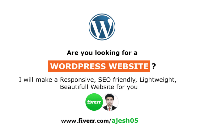 I will build a professional wordpress website with multi features