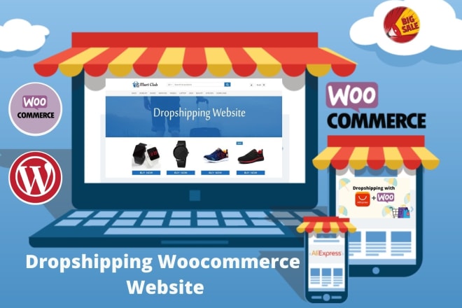 I will build aliexpress woocommerce dropshapping wordpress website with alidropship