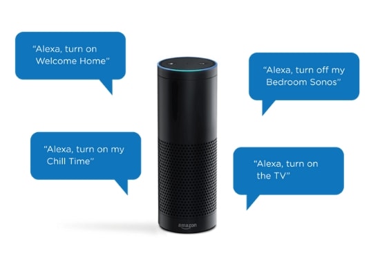 I will build an alexa skill for you