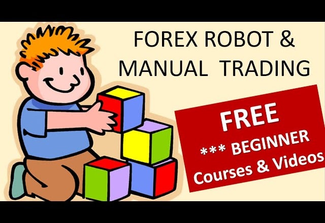 I will build an amazing and provide you the best strategy in manual trading