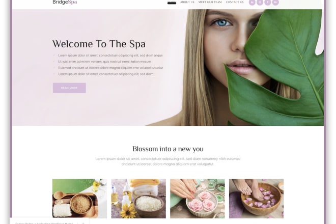 I will build custom wordpress website for nail, hair salon, spa,