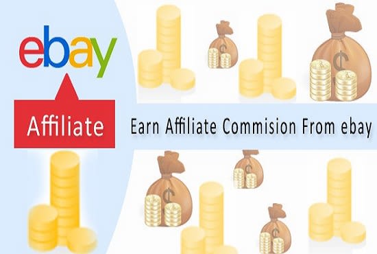 I will build ebay affiliate site with premium plugins