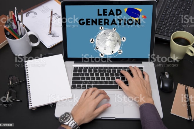 I will build lead magnet funnel, your lead magnet expert
