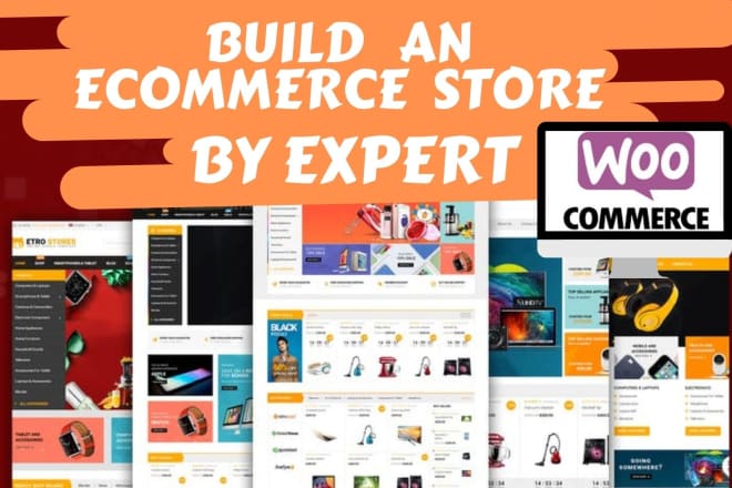 I will build professional ecommerce website,online store using wordpress theme,bug fix