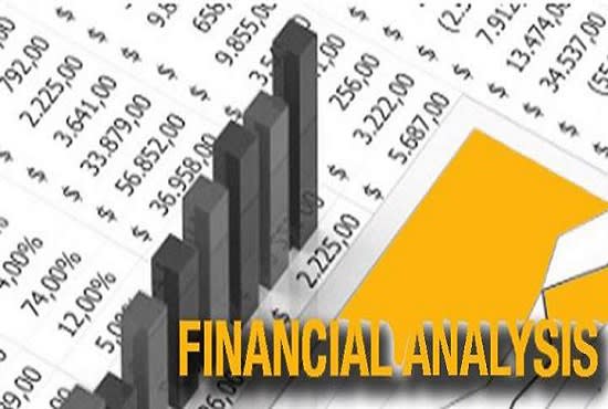 I will complete financial calculations, ratios, analysis en reports