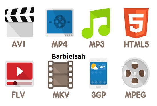 I will convert any audio or video files to mp3 and mp4