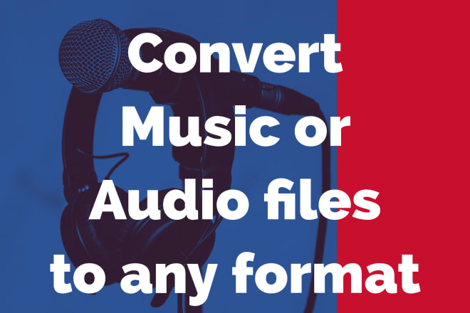 I will convert music or audio files to any format