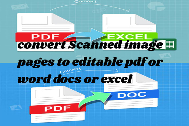 I will convert scanned PDF pages to editable pdf, word docs, excel and fillable form
