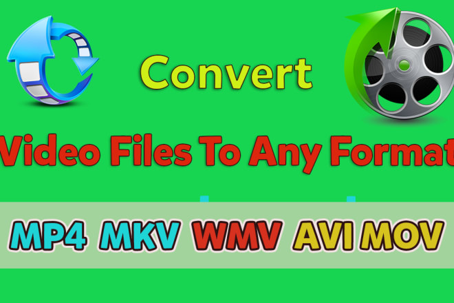 I will convert video file to any format avi,mp4,mkv,wmv etc