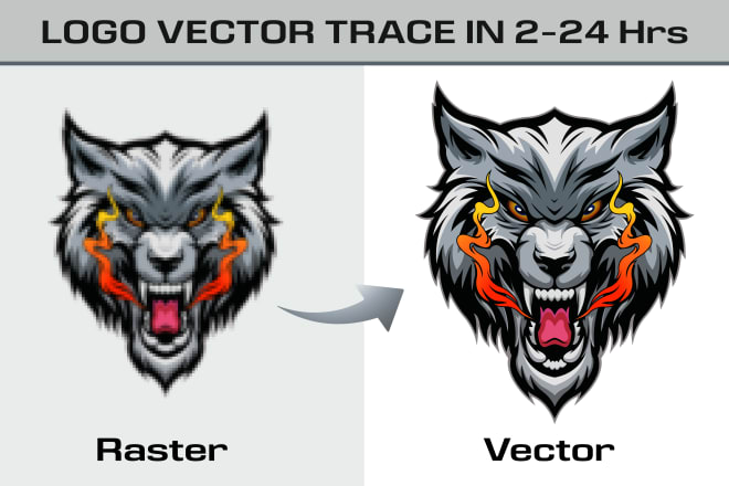 I will convert your sketch or existing logo to vector