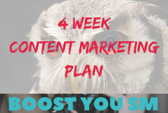 I will create 4 week social media marketing plan and also create social media posts