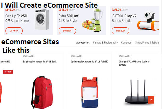 I will create ecommerce or wordpress web application