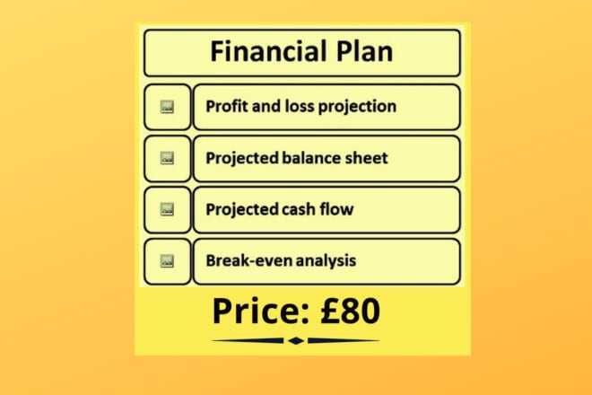 I will create investors financial plan, model, and forecast