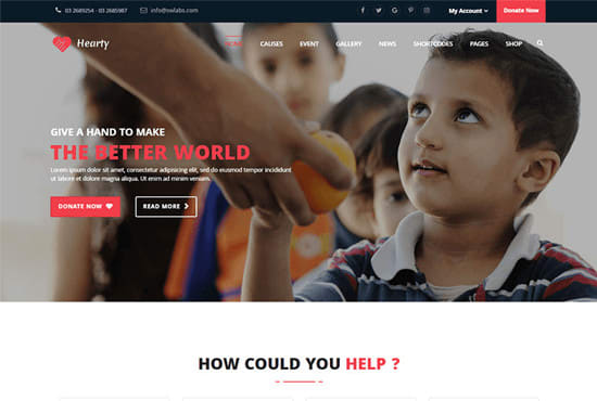 I will create non profit website for charity, donations and ngo