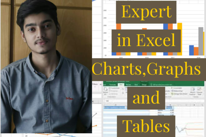 I will create professional excel charts,tables and graphs