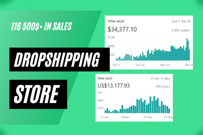 I will deliver a custom turnkey branded shopify dropshipping store