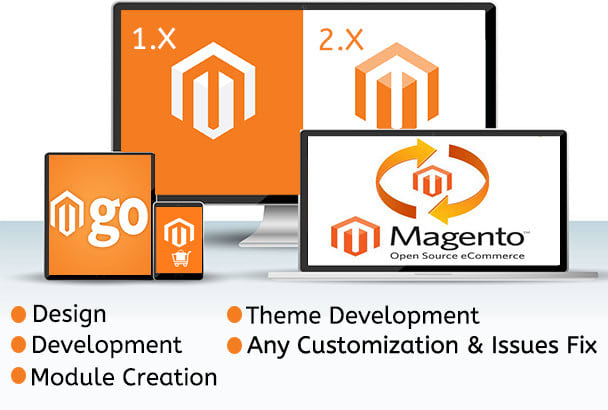 I will design and develop professional magento store