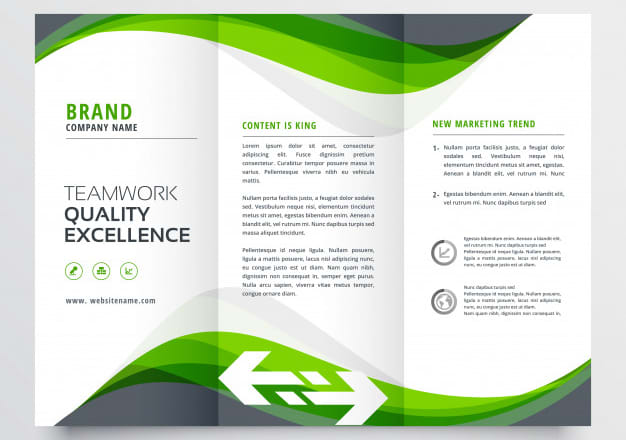 I will design bifold or trifold brochure and flyer on ms publisher