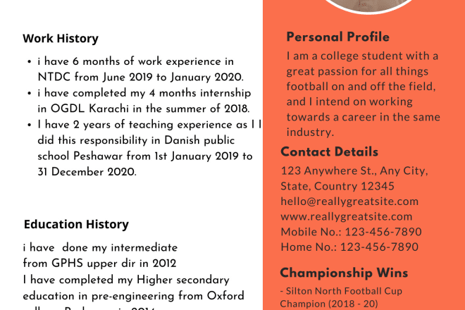 I will design professionally resume cv template in ms word