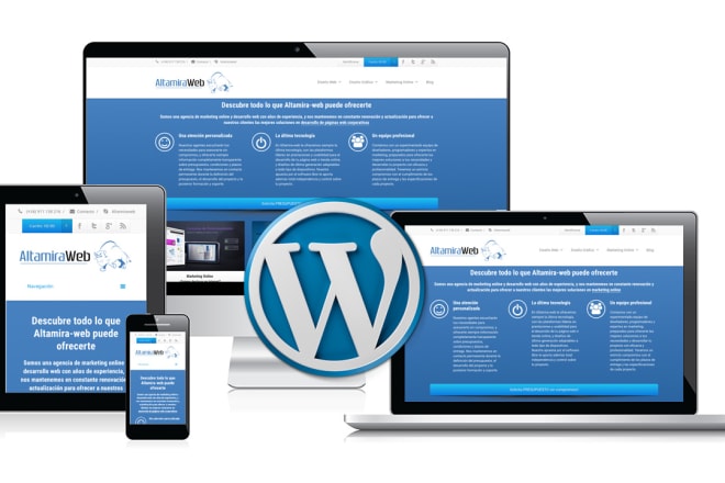 I will develop a professional wordpress website with a responsive design