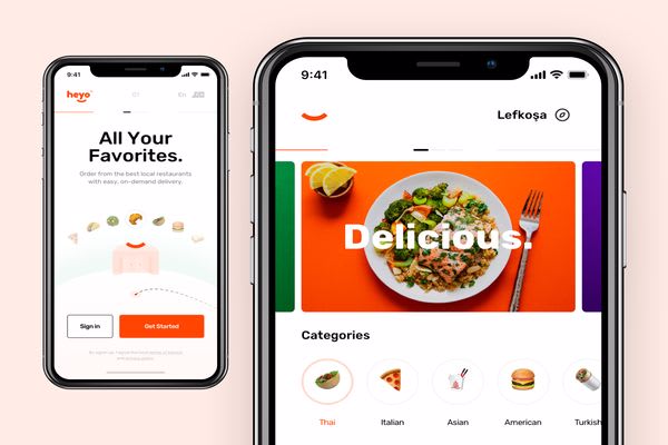 I will develop food delivery app grocery delivery app, delivery app grocery app