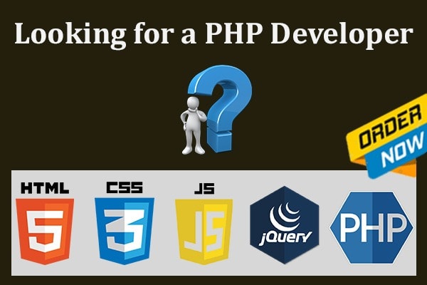 I will develop or fix your php web application and website in 24 h