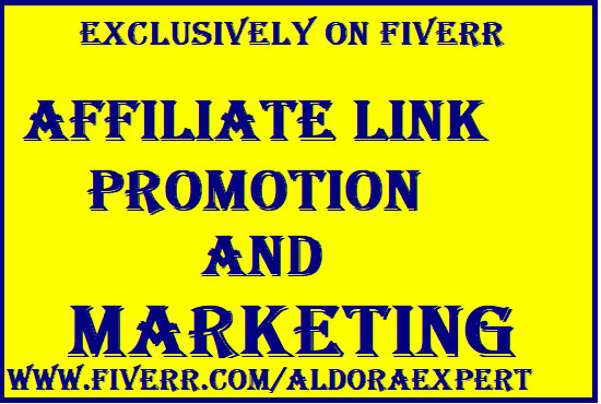 I will do affiliate link promotion,clickbank,amazon,teespring,digistoreto USA traffic