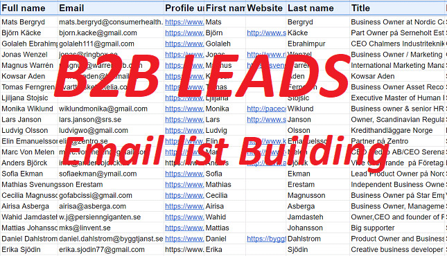 I will do b2b lead generation and provide verified emails