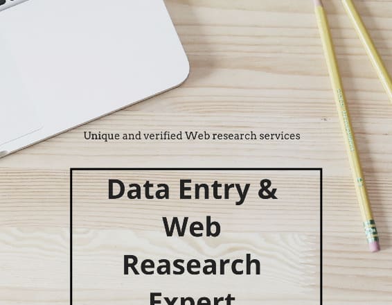 I will do excel data entry and web research perfectly