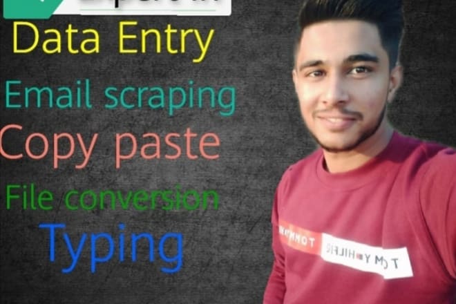 I will do excel data entry email scraping and data finder