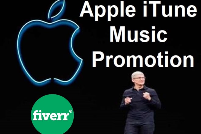 I will do execute an outstanding apple itunes online music promotion