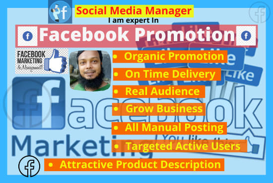 I will do facebook marketing and promotion your business in the USA