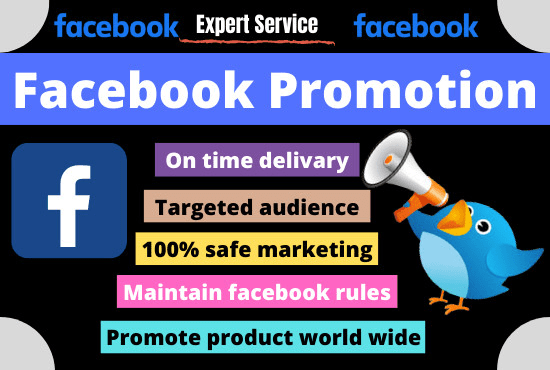 I will do facebook promotion and marketing your business or product advertising in USA