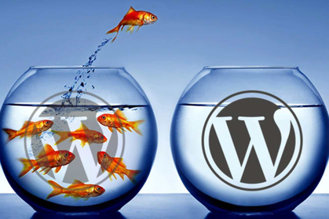 I will do fast migration of your wordpress site
