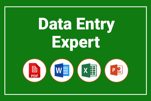 I will do fastest data entry job of all type, excel,word,file conversion