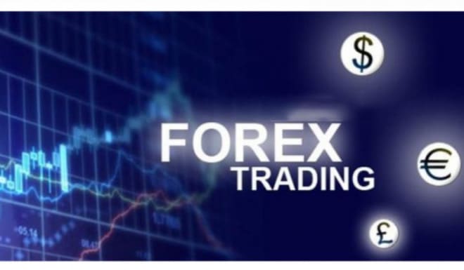 I will do forex marketing, generate forex leads, MLM, crypto leads