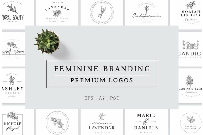 I will do hand drawn feminine branding logo