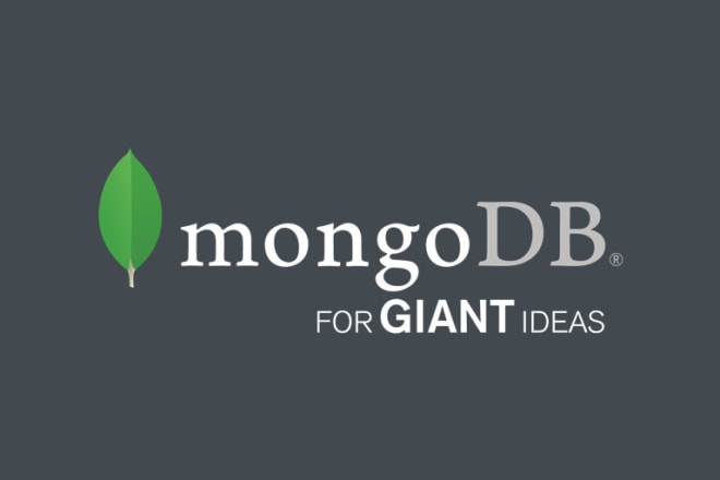 I will do mongodb projects, database modeling and complex queries