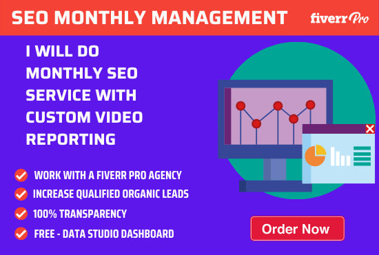 I will do monthly SEO service with custom video reporting
