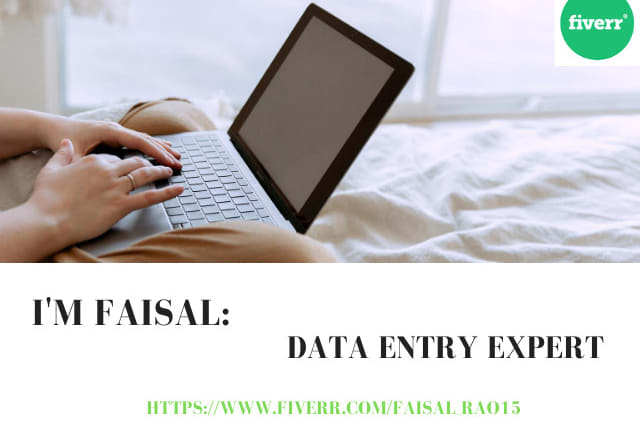 I will do offline and online data entry jobs