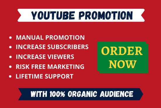 I will do professional youtube video promotion to make it viral