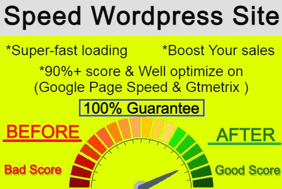I will do wordpress optimization for google page speed and gtmetrix in 6 hours