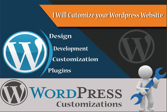 I will do wordpress website customization, edit, redesign